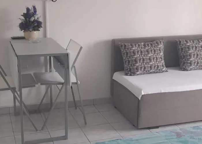 Anita 로고즈니차