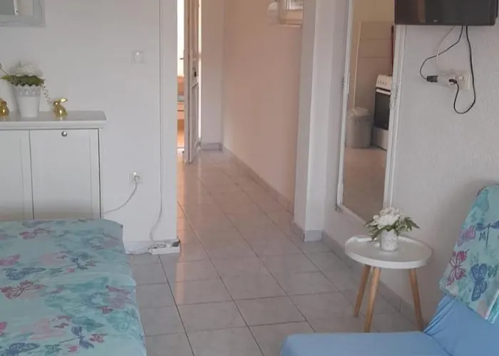 Anita * 로고즈니차