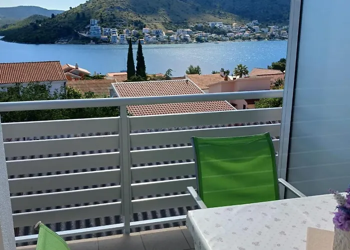 Anita * 로고즈니차