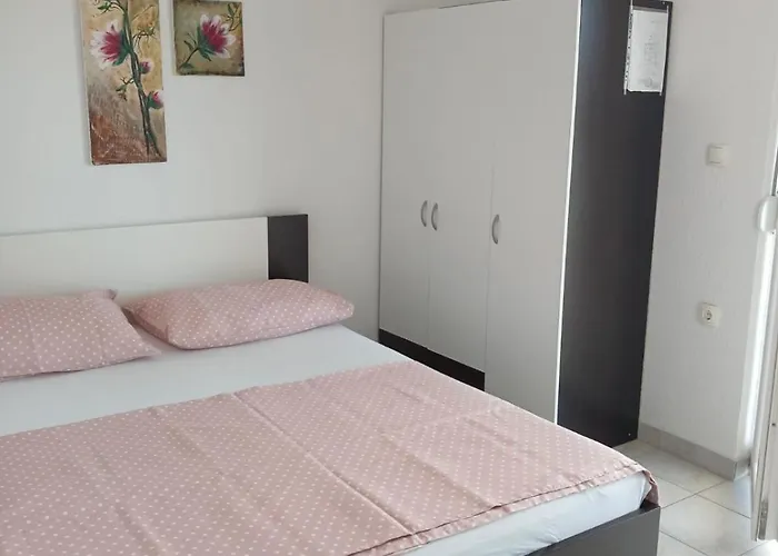 Anita 로고즈니차